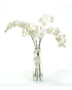 Waterlook® White Phaleanopsis Orchids in Clear inverted Glass Cylinder
