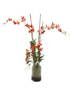 Waterlook® Rust Dendrobium Orchid Plant with Moss in Glass Cylinder