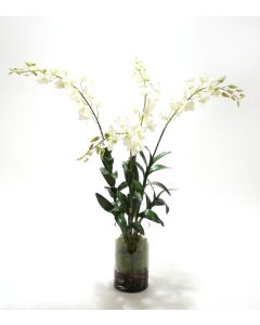 Waterlook® White Dendrobium Orchid Plant with Moss in Glass Cylinder
