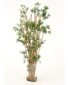 Waterlook® Leafy Bamboo in Tall Rectangular Glass Vase