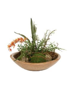 Waterlook® Exotic Garden with Orchids, Moss and Lichen Balls in Bowl