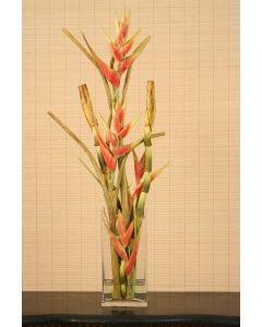 Waterlook® Heliconia, Bird of Paradise Stalks in Tall Glass Vase