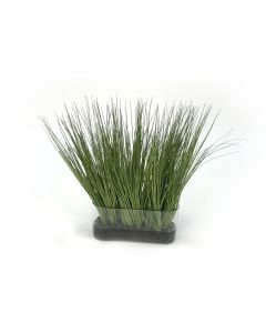 Grass with Rock in Oval Glass