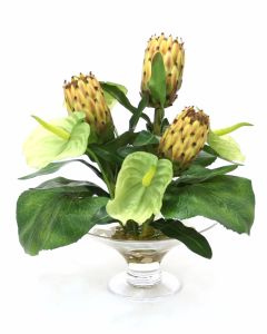 Waterlook® Green Anthuriums, Proteas and Leaves in Glass Compote