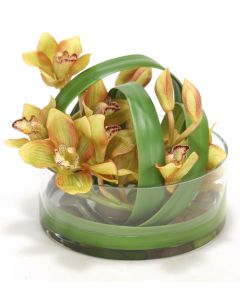 Waterlook&Reg; Green Cymbidium Orchids in Clear Glass Vase