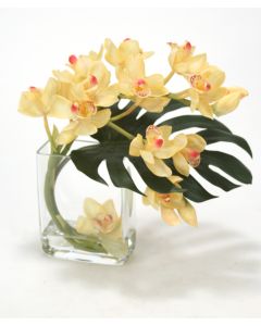 Waterlook® Champagne-Burgundy Cymbidium Orchids with Split Philo Leaf in Curved Rectangular Glass Vase