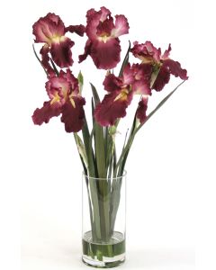 Waterlook® Amethyst Irises with Blades in Glass Cylinder