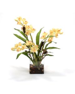 Waterlook® Yellow Orchid Plant with Blades, Natrag in Rectangular Glass Vase