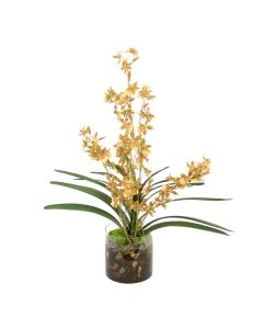 Waterlook® Gold-Green Oncidium Orchid Garden Mix in Clear Cylinder Glass Vase