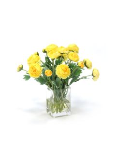 Yellow Ranunculus in Square Vase