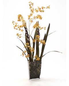 GOLD GREEN ONCIDIUM ORCHID IN LEOPARD SPOTTED GLASS