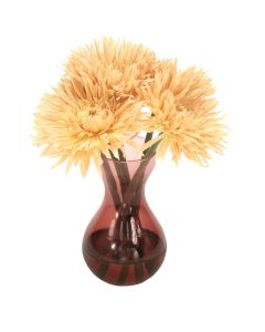 Waterlook® Beige Spider Gerbera Daisies in Plum Glass Vase (Sold in Multiples of 2)