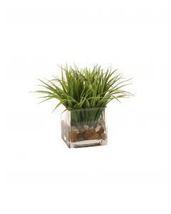 Grass in Glass Square Cube