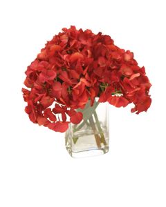 Waterlook® Dark Red Hydrangea in Square Glass Vase