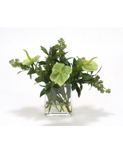 Waterlook® Green Antherium with Green Skimmia Berries in Rectangle Glass Vase