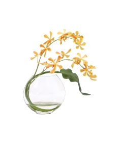 Waterlook® Gold Vanda Orchids with Tropical Leaf in Disk Vase