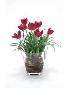 Waterlook® Mauve Crocus in Glass Flower Pot