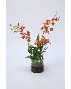 Waterlook®  Rust Dendrobium Orchids in Cylinder