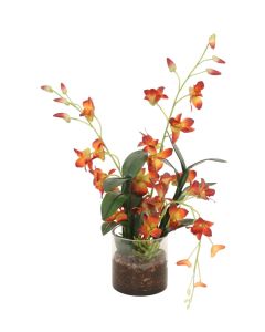 Waterlook®  Rust Dendrobium Orchids in Cylinder