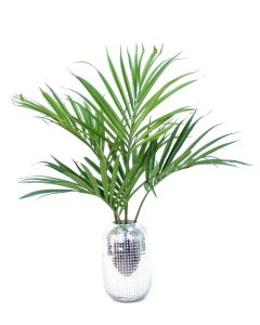 Kentia Palm in Silver Hobnail Vase