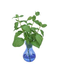 Basil in Blue Bulb Glass Vase (Set of 3)