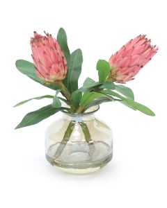 Mauve Proteas in Amber Glass