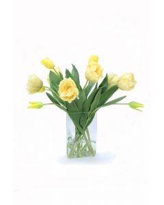 Yellow Parrot Tulips in Triangle Vase