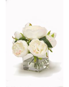 White Peonies in Square Glass