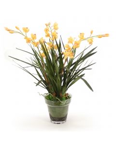 Yellow Orchids in Glass with Moss