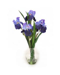 Blue Violet Iris in Glass Vase