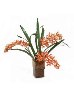 Cymbidium Orchid in Amber Glass 