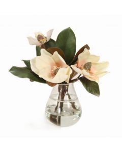 Magnolias in Teardrop Glass Vase