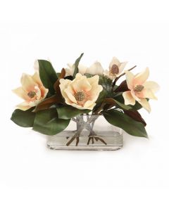 Magnolia Blooms with Magnolia Foliage in Oval Glass Vase
