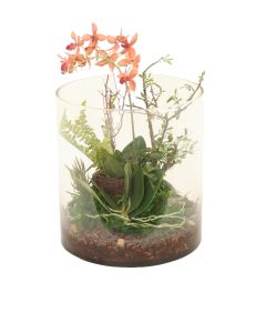 Phalaenopsis Orchid Garden in Round Glass Cylinder