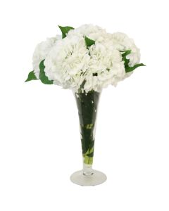 White Hydrangea in Trumpet Vase
