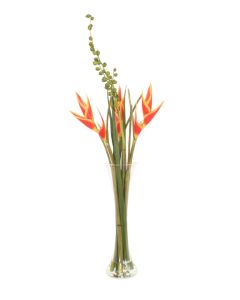 Heliconia's & Seed Pods in Glass Vase