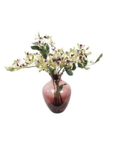 Green and Purple Mini Orchids in a Glass Vase