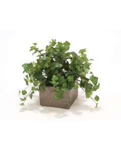Hedera Ivy in Crystal Bronze Pot