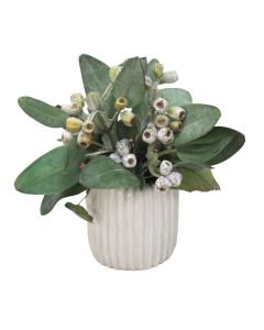 Frosted Eucalyptus in White Haven Vase