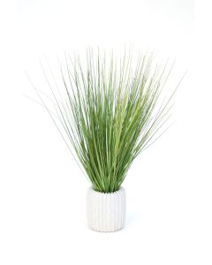 Grass in White Ribbed Vase