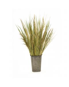 Natural Grass with Reeds in Metal Wall Pocket