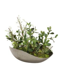 Succulents and Jade Plants in Black Nickel Curved Bowl