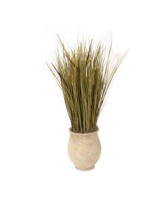 Spears Basil Grass in Tuscan White Wash Planter