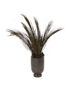Preserved Robbini Palms in Wooden Vase