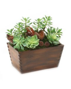 Succulent Garden in Detailed Wood Box