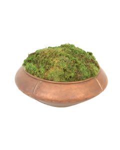 Mood Moss in Aged Copper Planter