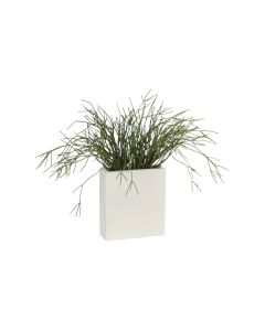 Pencil Cactus in White Metal Tall Planter