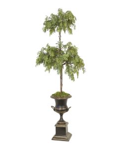 Cedar Topiary in Bronze Urn with Handles