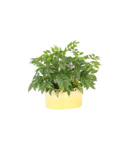 Mixed Greenery with Maidenhair in Oval Yellow Planter