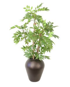 Sumac Tree in a Black Metal Vase